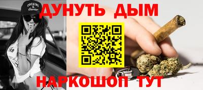 стаф Гай