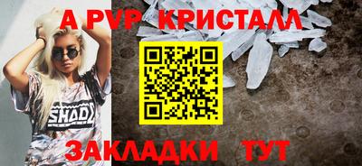 стаф Гай