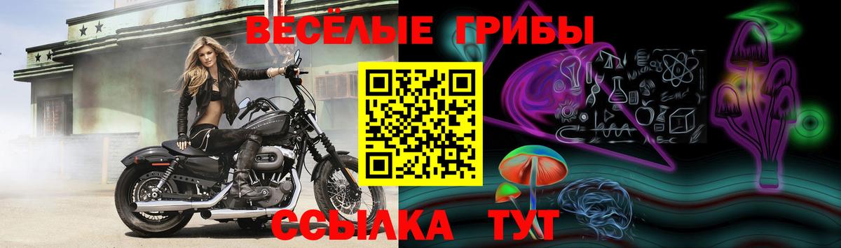 Псилоцибиновые грибы GOLDEN TEACHER Ханты-Мансийск